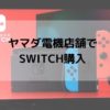 任天堂Switch